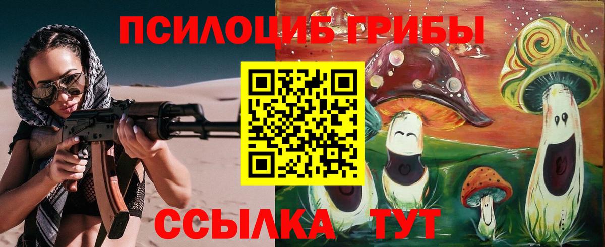 Галлюциногенные грибы мицелий Волхов
