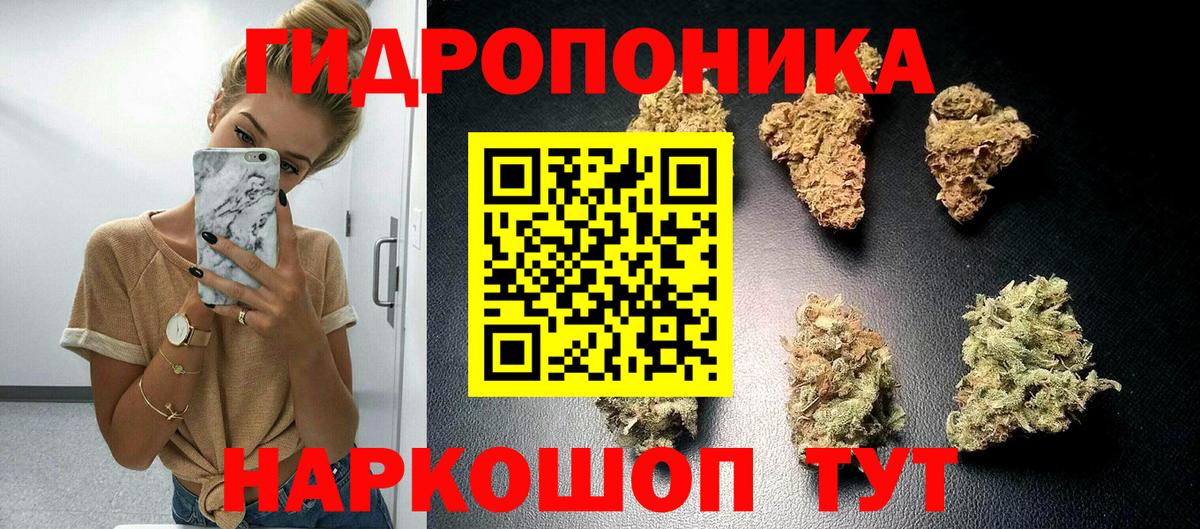 Волхов  Канабис VHQ  Канабис тримм  Каннабис марихуана  Каннабис MAZAR  Вход с VPN 
